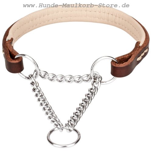 bequemes Dressur Halsband neu