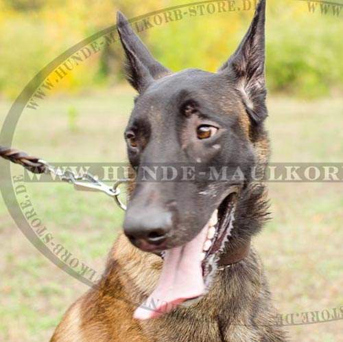 Schaeferhunde Hundehalsband aus Leder für Malinois