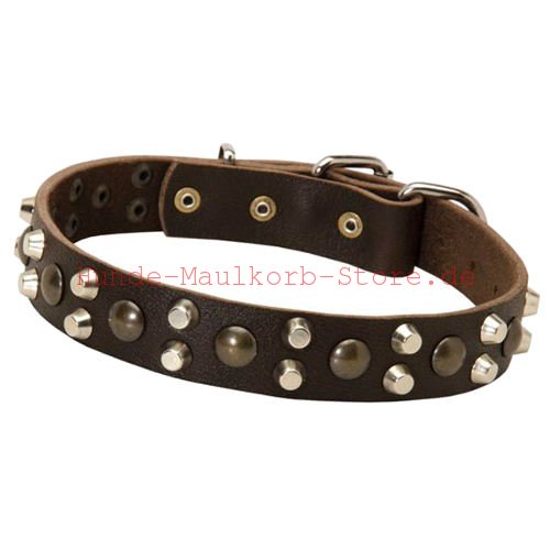 leather collar with studs
