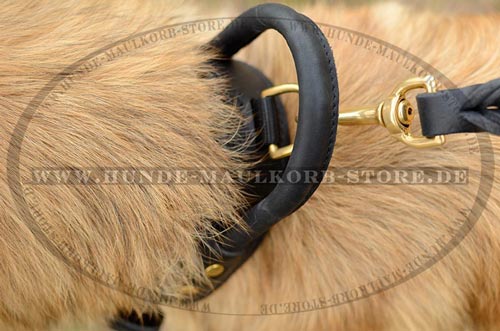 Hetzhalsband mit Handschlaufe kaufen