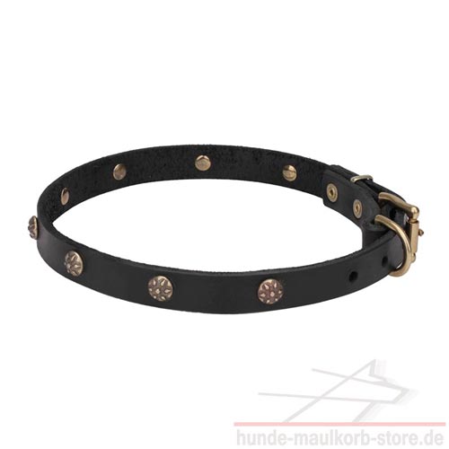 20 mm Halsband für Hund