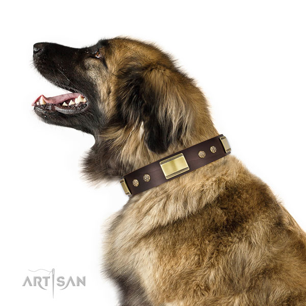 Leonberger Halsband breit