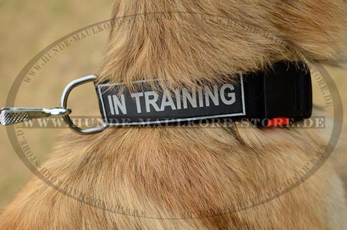 lebendiges Nylon Halsband fuer Tervueren