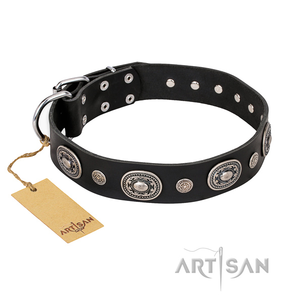 schickes Halsband fuer energische Hunde