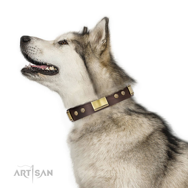 breites Malamute Halsband