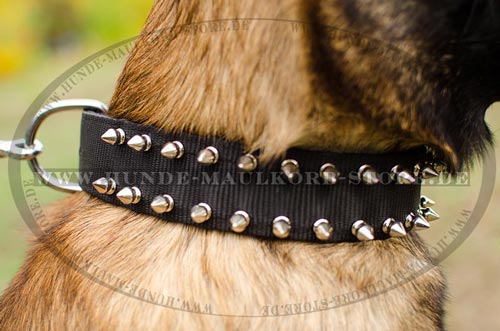 Design Nylon Hundehalsband mit Spikes für Malinois