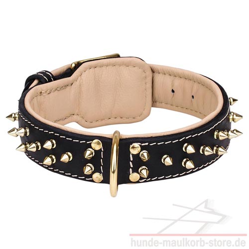 40 mm Halsband mit glänzenden Spikes