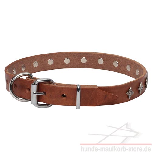 oiled leather dog colalr with star studs