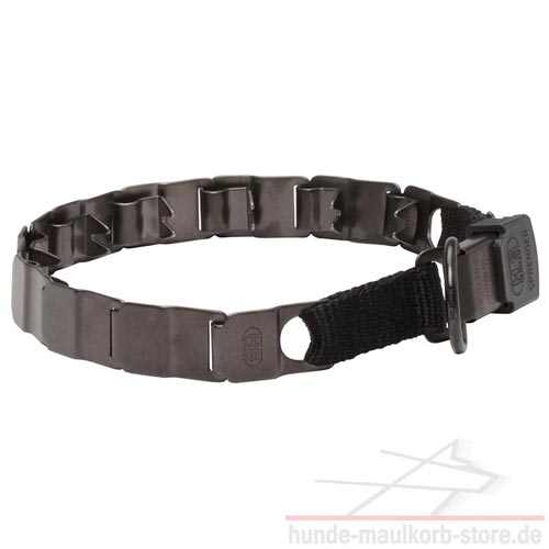 schönes Sprenger Hundehalsband 