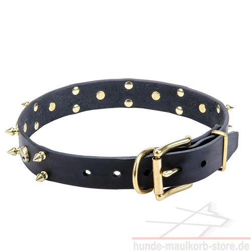 Leder
Halsband