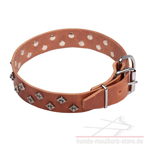 Hunde
Halsband Fettleder