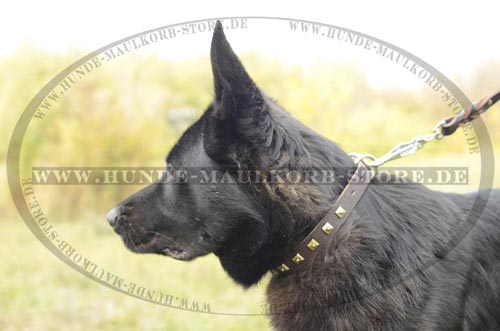 schönes Halsband