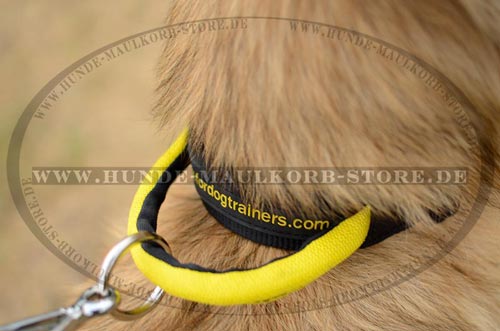 hochqualitatives Nylon Halsband fuer Tervueren