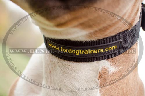 Hundehalsband 40 mm fuer Sport