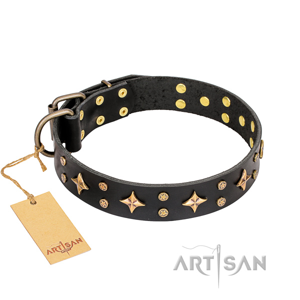 stilvolles Fordogtrainers Halsband