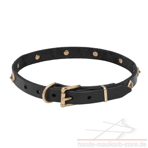 Hundehalsband mit attraktiven Nieten