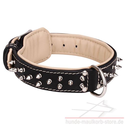 40 mm Halsband mit schönen Spikes