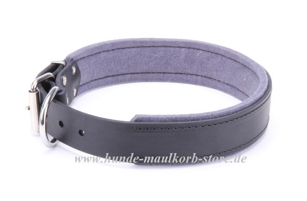 Halsband Leder für große Hunde