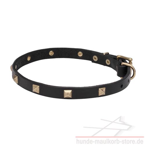 20 mm Halsband exklusiv