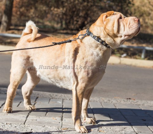 ForDogTrainers Lederhalsband 19 mm Breit für Hunde