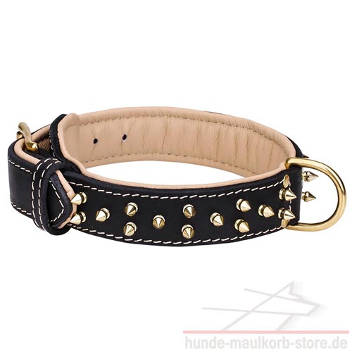 40 mm breites Lederhalsband mit goldenfarbigen Spikes 
