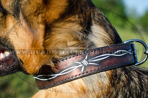 stilvolles Halsband Hund