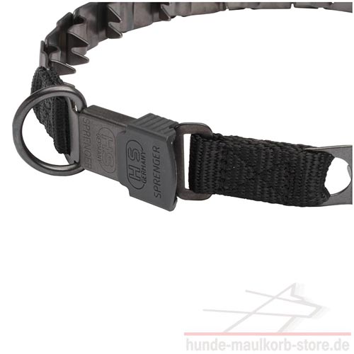 Dressur Halsband absolut sicher 