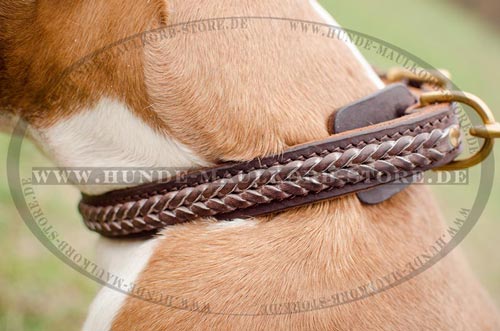 Hundehalsband originelles Design