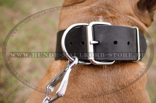 Dog collar without rivets