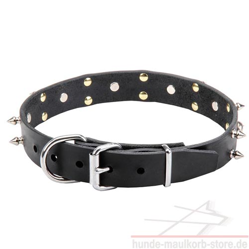 Leather Dog Collar with Spikes