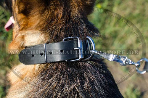 stilvolles Halsband Hund