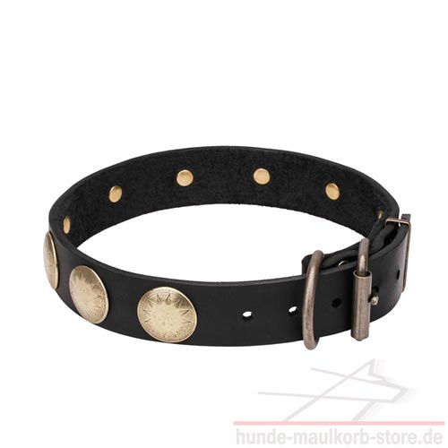 Hundehalsband 40 mm Fettleder Halsband