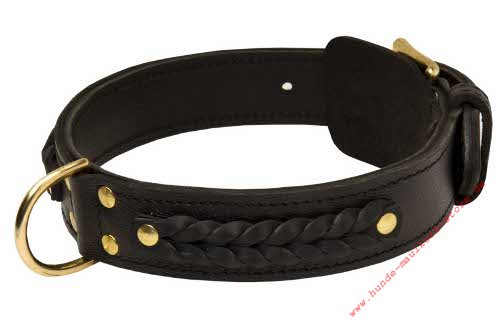breites Hundehalsband kaufen