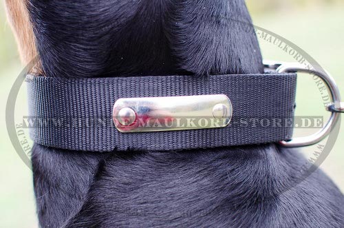 Dobermann Hundehalsband Nylon für Training