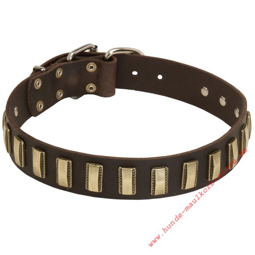 Malinois Hundehalsband Luxus mit
Messingplatten für Hundeausstellung