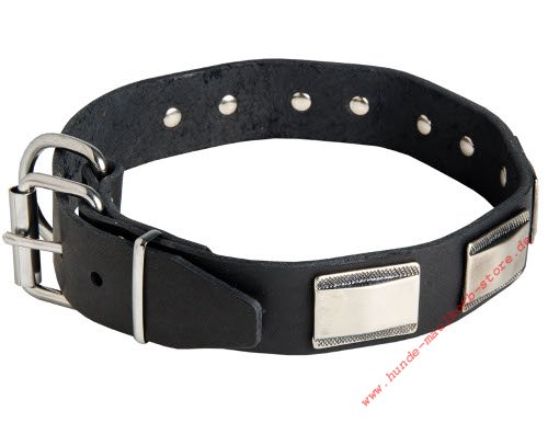 greased leather studded collar