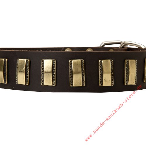 Malinois Fettlederhalsband