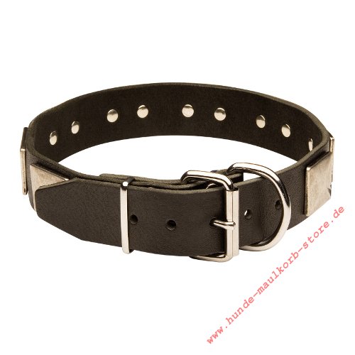 Fettleder Hundehalsband mit Schmuck bestellen