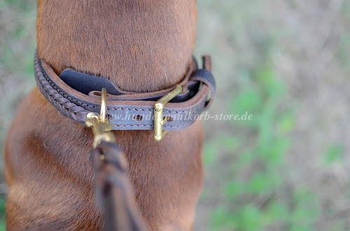 Boxer Leather Dog Collar with Braided Design