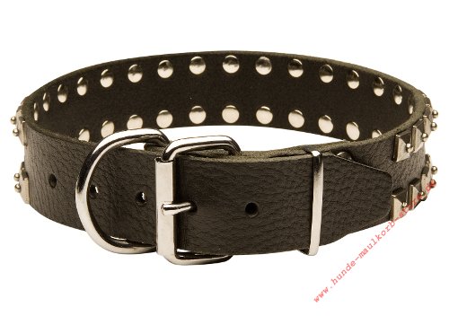 Halsband mit Nieten fuer Hunde mit Beschlaegen