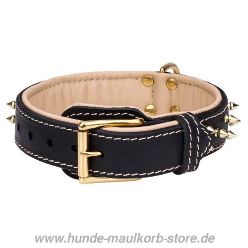 Originelles Malinois Hundehalsband Nappaleder