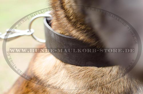 Schaeferhunde Breites Hundehalsband aus Leder für Malinois