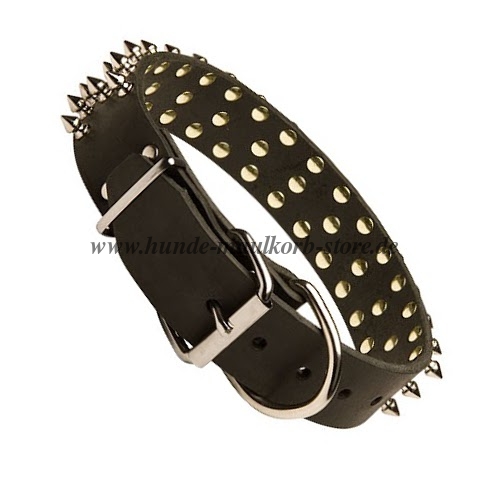 Breites Leder Hundehalsband mit Spikes für Malinois