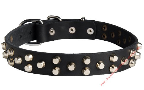 Design Hundehalsband aus Leder mit Nieten für
grossen Hund