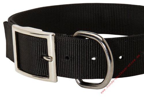 Bestes Hundehalsband Nylon für Dobermann