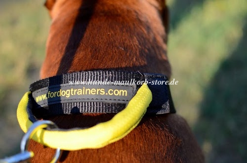 Boxer Dog Collar Nylon