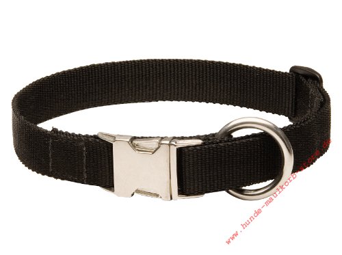 the best dog collar with metal buckle for Malinois