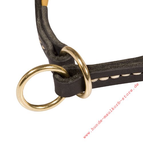 Laika padded k9 collar