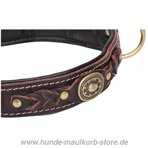 
 Hunde Halsband Breit