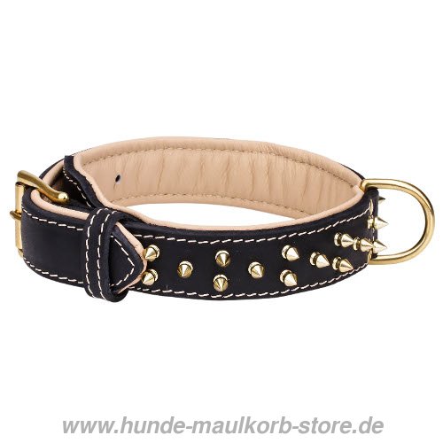 Lederhalsband mit golden Nieten mit Verschluss